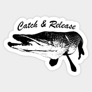 Catch and Release Series, Pike, Black color Sticker